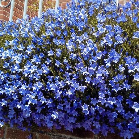 Lavender House Hotel Bridgend  Luaran gambar