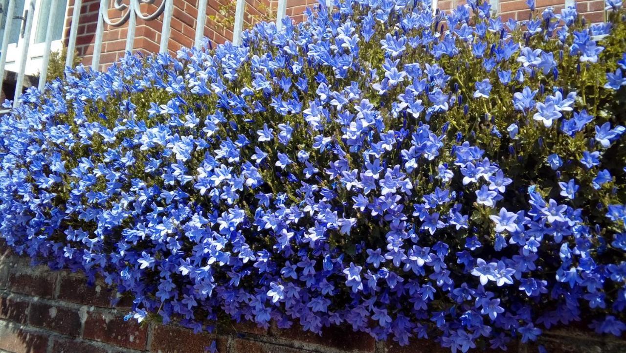 Lavender House Hotel Bridgend  Luaran gambar